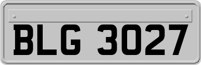 BLG3027