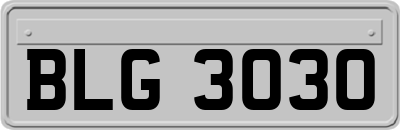 BLG3030