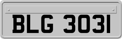 BLG3031