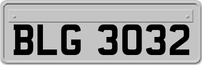 BLG3032