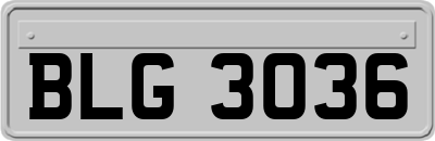 BLG3036