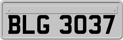 BLG3037
