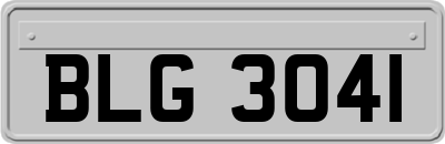BLG3041
