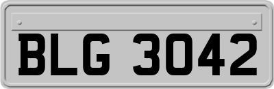 BLG3042