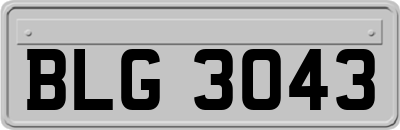 BLG3043
