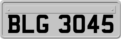 BLG3045