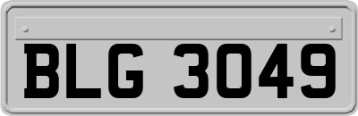 BLG3049