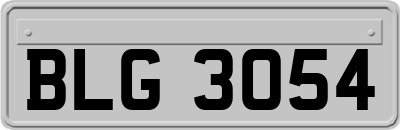 BLG3054
