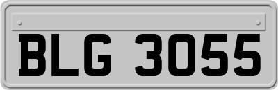 BLG3055