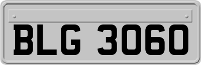 BLG3060