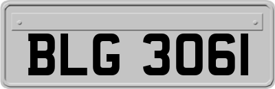 BLG3061