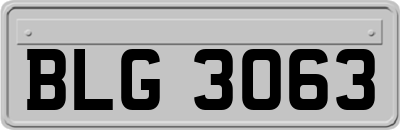 BLG3063