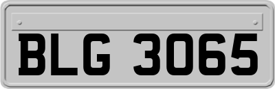 BLG3065