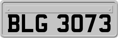 BLG3073