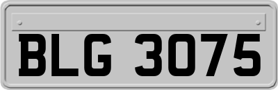 BLG3075