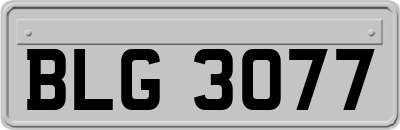 BLG3077