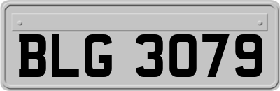 BLG3079