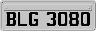 BLG3080