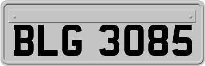 BLG3085