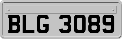 BLG3089