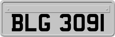 BLG3091