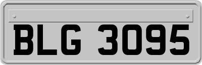 BLG3095