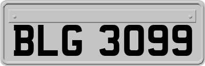 BLG3099