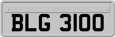 BLG3100