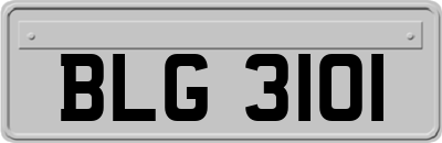 BLG3101