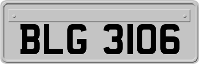BLG3106