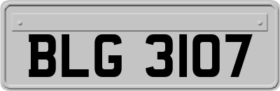 BLG3107