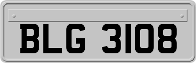 BLG3108