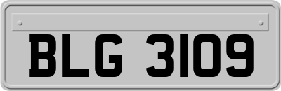 BLG3109