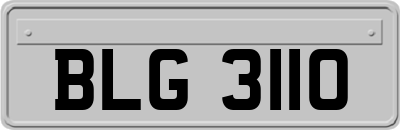 BLG3110