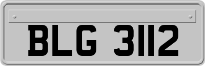 BLG3112