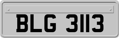 BLG3113