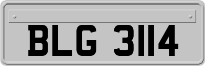 BLG3114