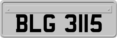 BLG3115