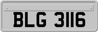 BLG3116