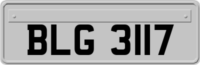 BLG3117