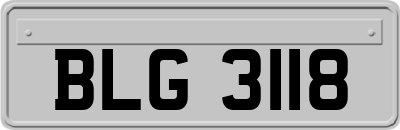 BLG3118
