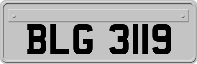 BLG3119