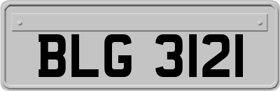 BLG3121
