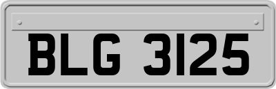 BLG3125