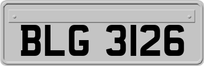 BLG3126