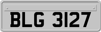 BLG3127