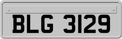 BLG3129