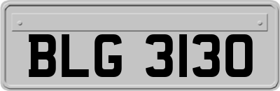 BLG3130