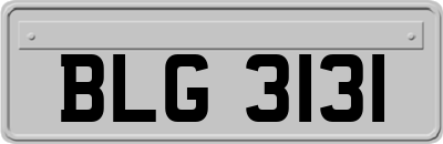 BLG3131