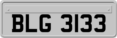 BLG3133